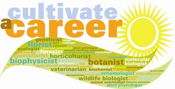 Cultivate a Career logo